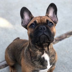 Meet your Posher, Raluca